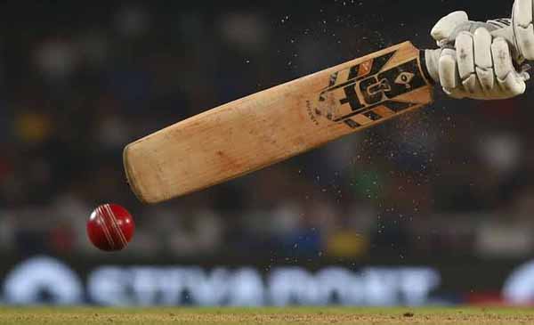 cricket shot in action